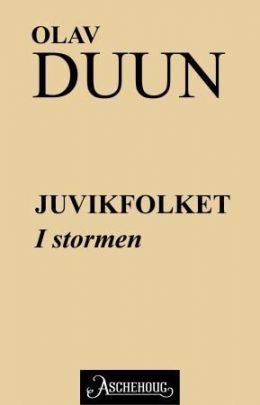 I stormen