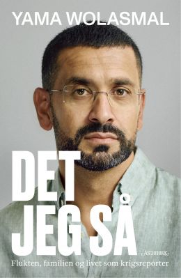 Det jeg så