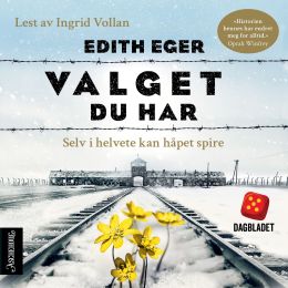 Valget du har