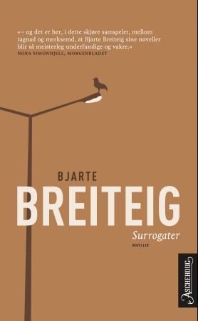 Surrogater