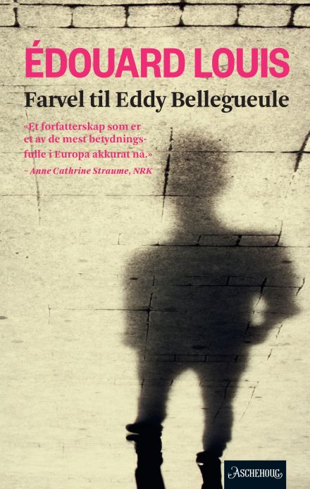 Farvel til Eddy Bellegueule