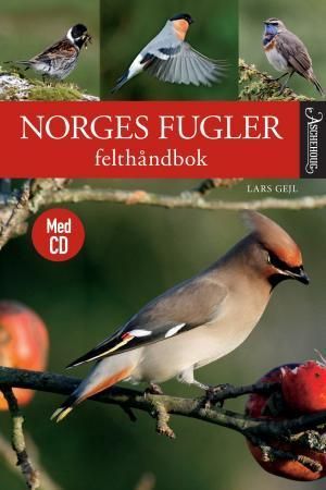 Norges fugler