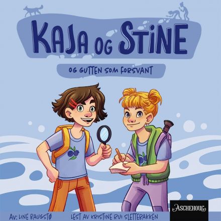 Kaja og Stine og gutten som forsvant