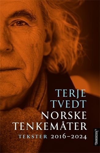 Norske tenkemåter