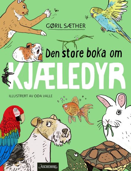 Den store boka om kjæledyr