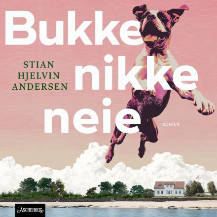Bukke nikke neie