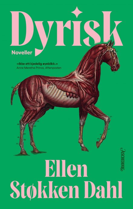 Dyrisk